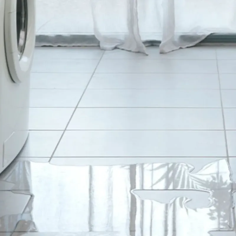 Appliance Leak Cleanup in Cambridge, WI